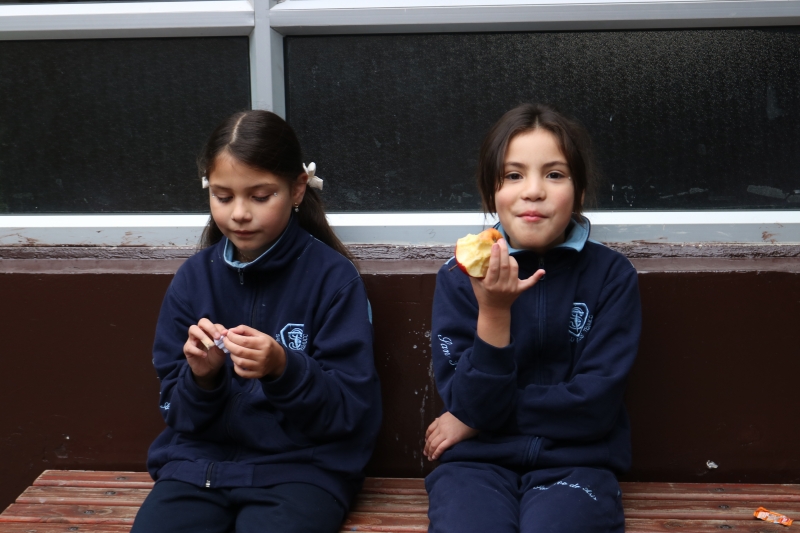 Día de la Actividad Física